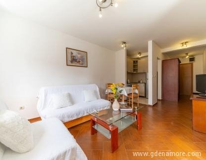 APPARTAMENTI DI LUSSO, alloggi privati a Budva, Montenegro - Apartment-for-rent-in-Budva (1)